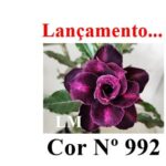 ENXERTO 12284 – 20cm (cor LM 992) - Imagem 8