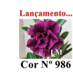 ENXERTO 12283 – 20cm (cor LM 986) - Imagem 11