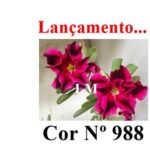 ENXERTO 12246 – 22cm (cor LM 988) - Imagem 7