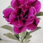 ENXERTO 12283 – 20cm (cor LM 986)