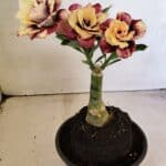 ENXERTO 12304 – 20cm (cor LM 827)