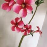 Planta Simples 3252 – 35cm – 03 anos