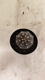 ASTROPHYTUM ASTERIAS “Purple”  Nº 1012 – vaso 09 - Imagem 3