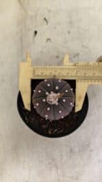 ASTROPHYTUM ASTERIAS “Purple”  Nº 1021 – vaso 09 - Imagem 4