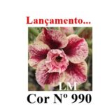 ENXERTO 12410 – 22cm (cor LM 990) - Imagem 7