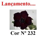 ENXERTO 12424 – 22cm (cor LM 232) - Imagem 9