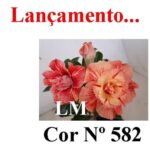 ENXERTO 12456 – 20cm (cor LM 582) - Imagem 8