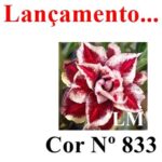 ENXERTO 12353 – 20cm (cor LM 833) - Imagem 8