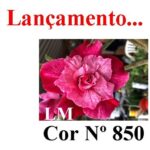 ENXERTO 12429 – 20cm (cor LM 850) - Imagem 8