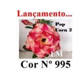 ENXERTO 12569 – 20cm (cor LM 995) Id: POP CORN 2 - Imagem 7