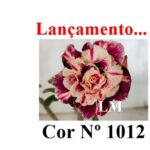 ENXERTO 12547 – 25cm (cor LM 1012) - Imagem 9