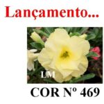 ENXERTO 12485 – 20cm (cor LM 469) - Imagem 8