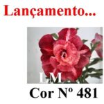 ENXERTO 12533 – 20cm (cor LM 481) - Imagem 7