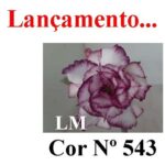 ENXERTO 12509 – 20cm (cor LM 543) - Imagem 8