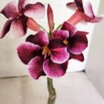 ENXERTO 12516 – 20cm (cor LM 499)