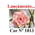 ENXERTO 12588 – 20cm (cor LM 1013) - Imagem 9