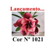 ENXERTO 12667 – 20cm (cor LM 1021) - Imagem 8