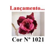 ENXERTO 12634 – 20cm (cor LM 1021)