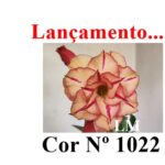 ENXERTO 12640 – 20cm (cor LM 1022)