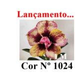 ENXERTO 12647 – 20cm (cor LM 1024)