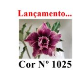 ENXERTO 12624 – 20cm (cor LM 1025)