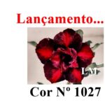 ENXERTO 12608 – 20cm (cor LM 1027)