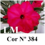 ENXERTO 12626 – 20cm (cor LM 384) - Imagem 7