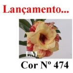 ENXERTO 12559 – 22cm (cor LM 474) - Imagem 10