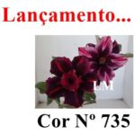ENXERTO 12563 – 20cm (cor LM 735) - Imagem 7