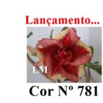 ENXERTO 12586 – 20cm (cor LM 781) - Imagem 7