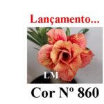 ENXERTO 12643 – 20cm (cor LM 860)