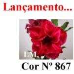 ENXERTO 12589 – 25cm (cor LM 867) - Imagem 8