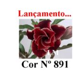 ENXERTO 12606 – 20cm (cor LM 891)