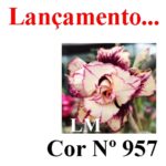 ENXERTO 12605 – 20cm (cor LM 957)