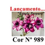 ENXERTO 12591 – 20cm (cor LM 989) - iD: Estrela Purpura - Imagem 6
