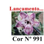 ENXERTO 12649 – 20cm (cor LM 991)