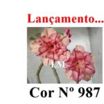 ENXERTO 12590 – 20cm (cor LM 987) - Imagem 7