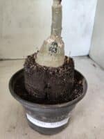 ENXERTO 12668 – 20cm (cor LM 663) - Imagem 6